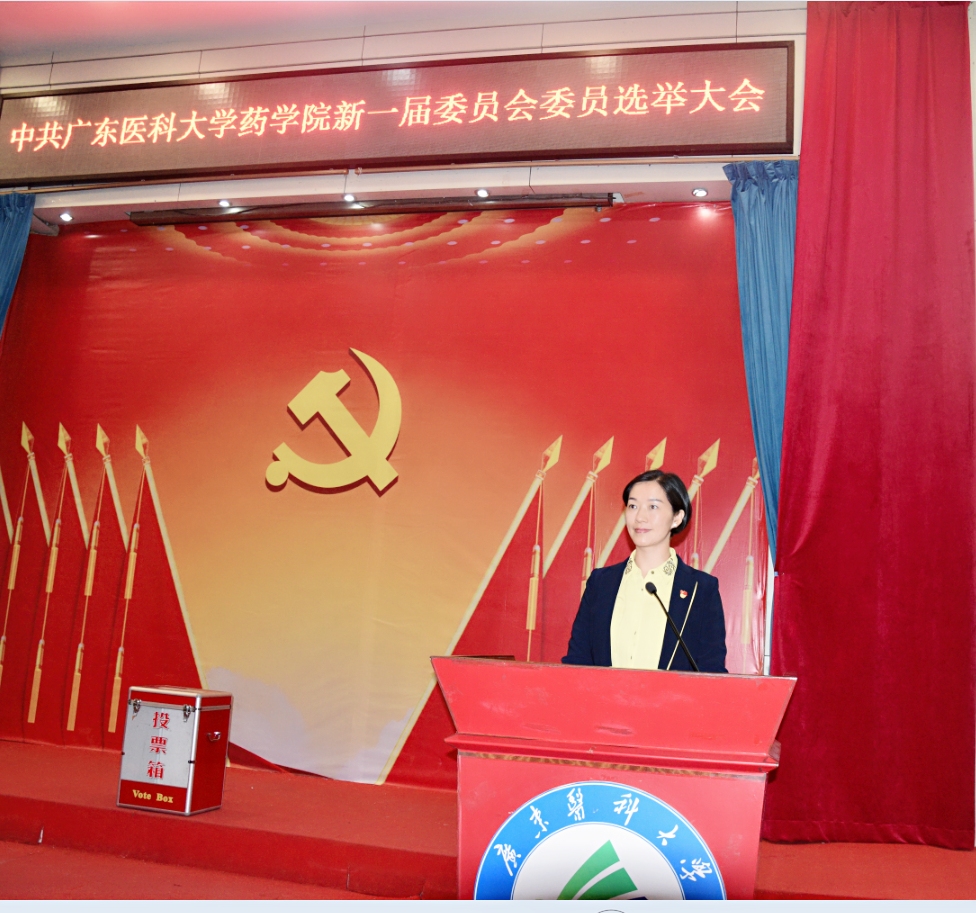 公司党委书记雷鸣同志代表上一届公司党委作主题报告